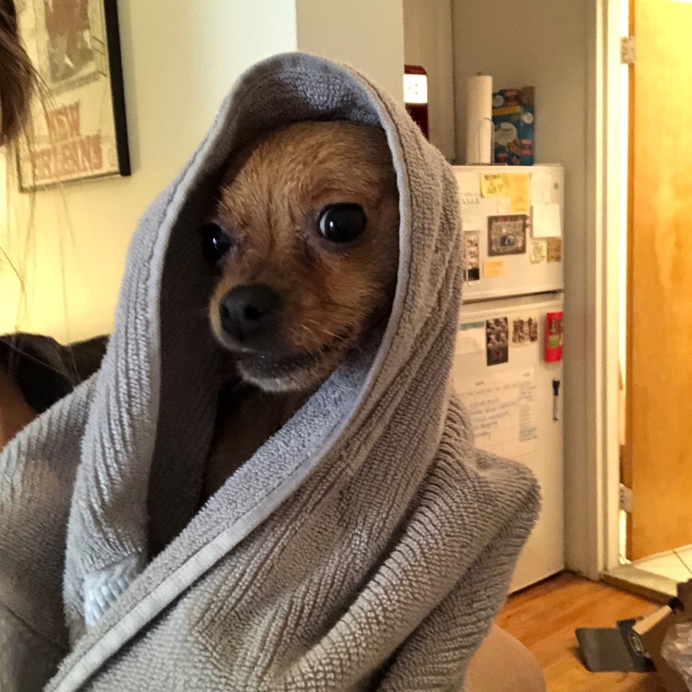 Meet your Posher, Maria